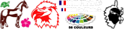 stickers dcoratifs maison voitures pare brise