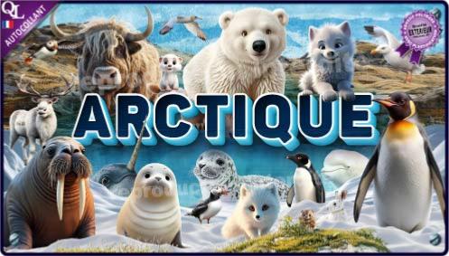 affiche poster autocollant stickers animaux ARCTIQUE effet 3D affiche autocollante