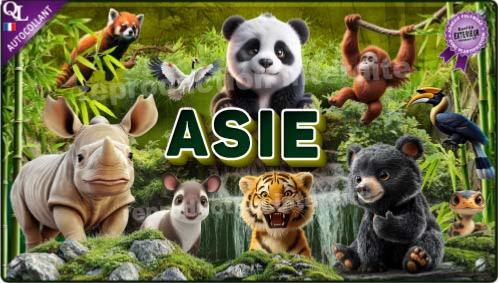 affiche poster autocollant stickers animaux ASIE effet 3D affiche autocollante